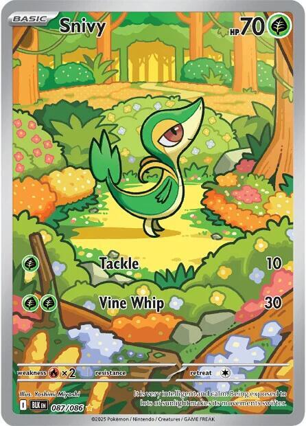 Snivy - 087/086 | SV: Black Bolt #087/086