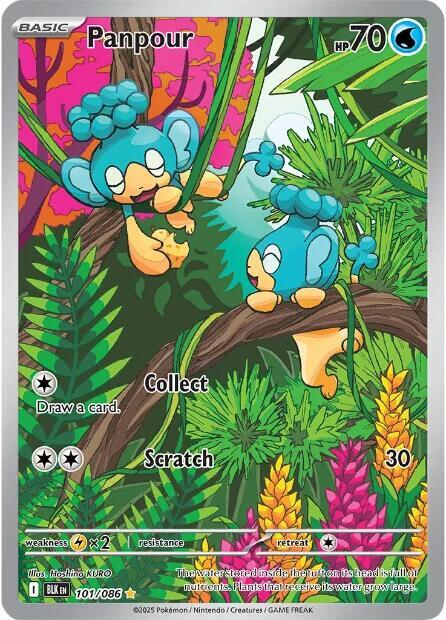 Panpour - 101/086 | SV: Black Bolt #101/086