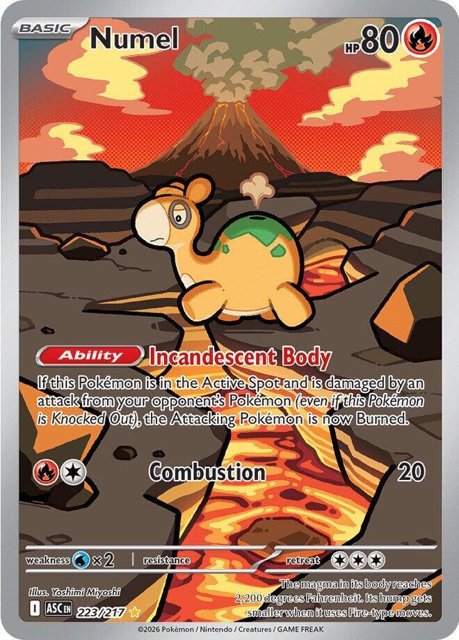 Numel - 223/217 | ME: Ascended Heroes #223/217