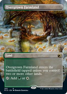 Overgrown Farmland (Borderless) | Innistrad: Midnight Hunt #283