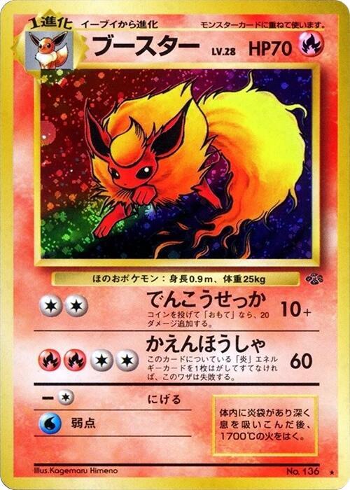 Flareon | Pokemon Jungle #unknown