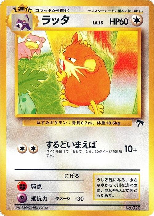 Raticate | Southern Island #unknown